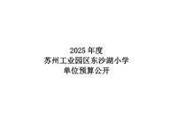 苏州工业园区东沙湖小学2025年度单位预算公开